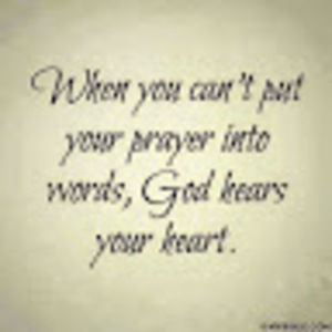 Meet your Posher, Glenda